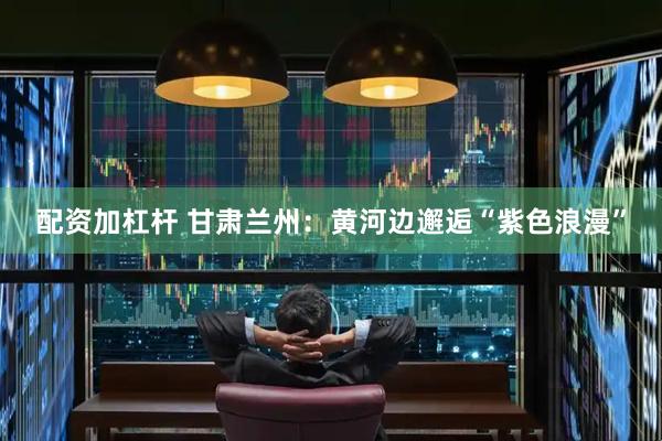 配资加杠杆 甘肃兰州：黄河边邂逅“紫色浪漫”